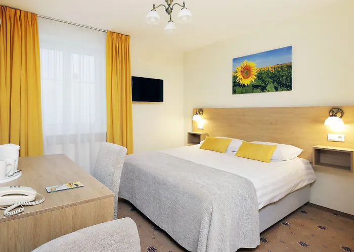 Hestia Draugi ריגה